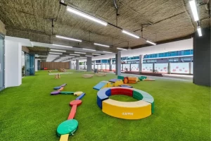 Maplebear Norwest Senior Bears play equipment